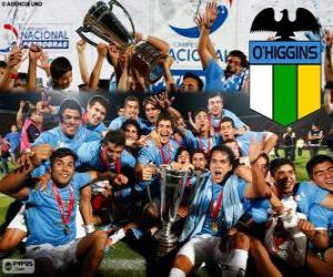 Puzzle Ο' Χίγκινς ΦΚ, χιλιανή πρωταθλητής Κύπελλο 2013